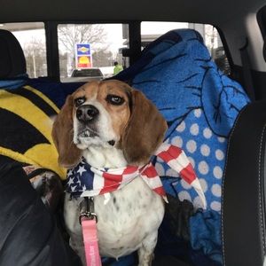 Meet your Posher, Kaitlin